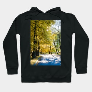 Autumn in Helsinki Hoodie